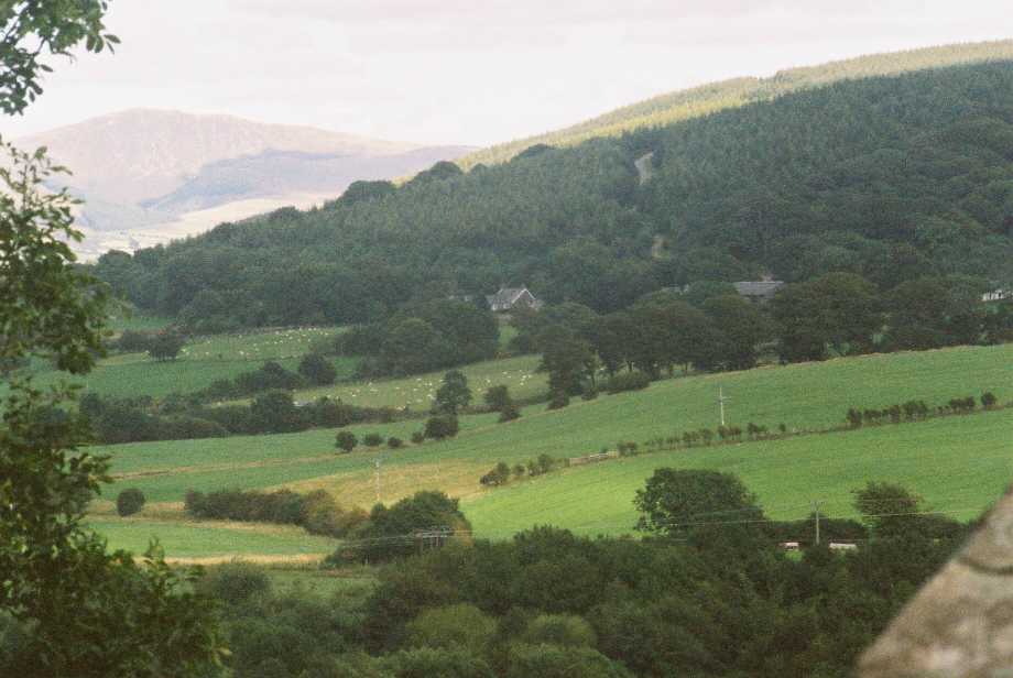 Wood End